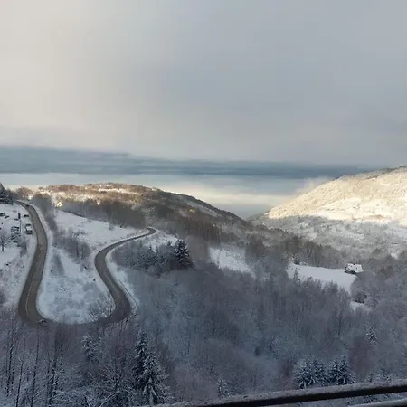 Apartament Milmari Golden N Lux 62 *