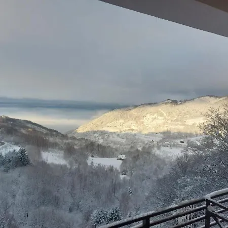 Milmari Golden N Lux 62 *