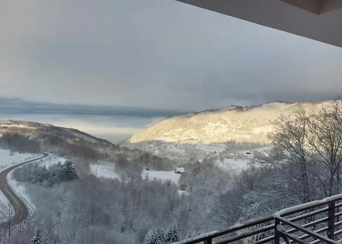 Milmari Golden N Lux 62 *